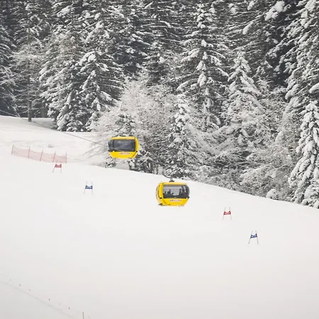 50 M From Obingleitn Lift *