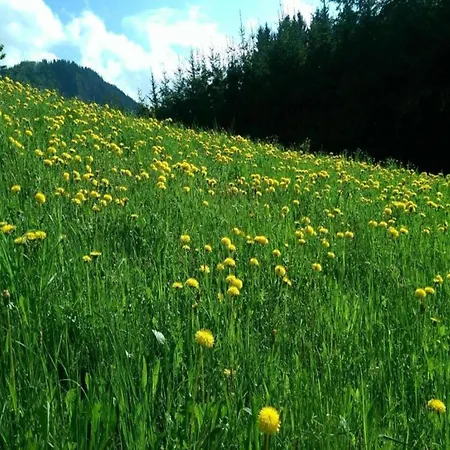 Wonderful Space For 4 People Fieberbrunn